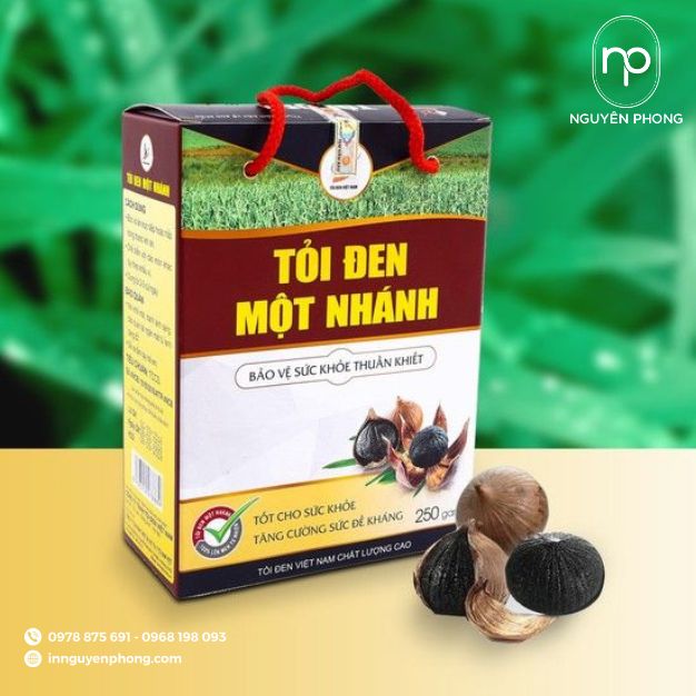 mẫu hộp đựng tỏi đen một nhánh